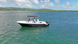 BOSTON WHALER 21