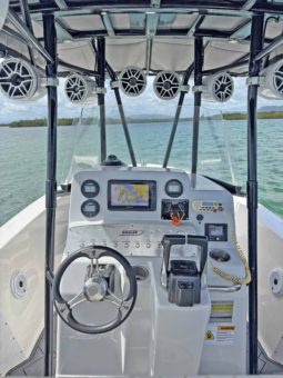 
										BOSTON WHALER 21 full									