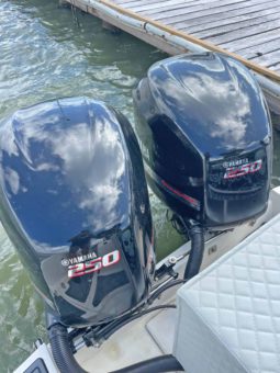 
										BOSTON WHALER 21 full									