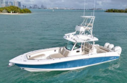 BOSTON WHALER OUTRAGE 350 35