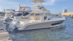 
										BOSTON WHALER OUTRAGE SPECIAL EDITION 42 full									