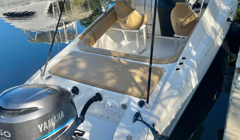 
								INTERMARINE TESTAROSA 25 full									