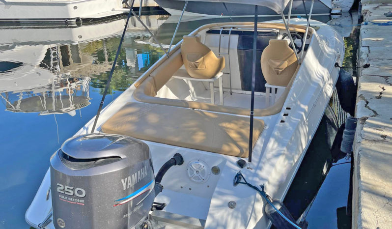 
								INTERMARINE TESTAROSA 25 full									