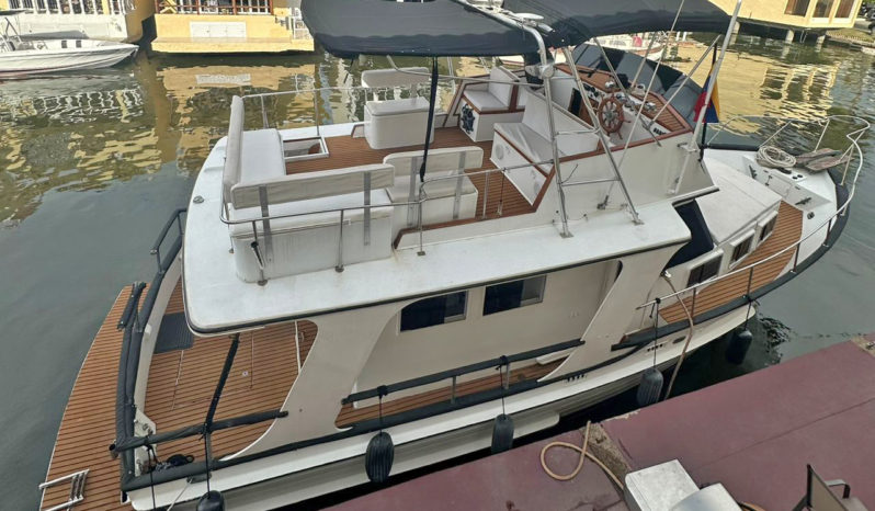 
								KONG Y HALVORSEN GYPSY EUROPA 36 full									