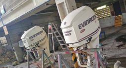 
										PAREJA MOTORES EVINRUDE ETEC 250HP full									