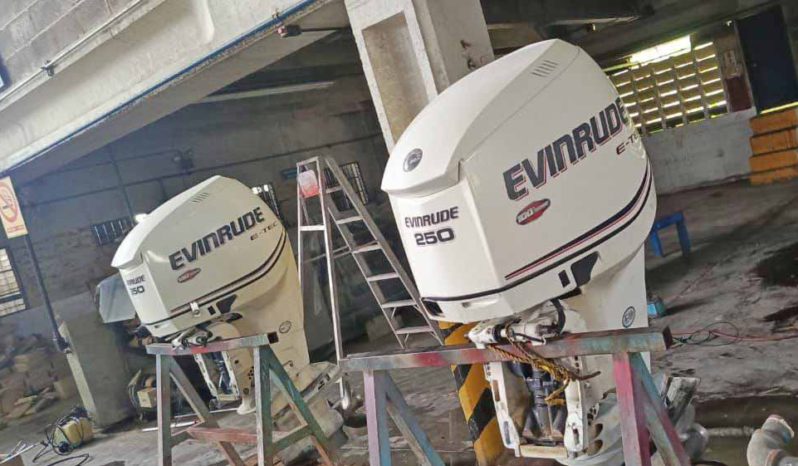 
								PAREJA MOTORES EVINRUDE ETEC 250HP full									