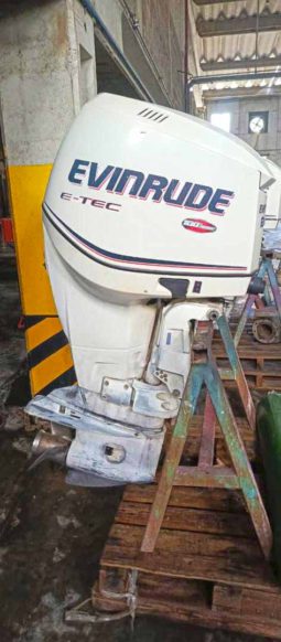 PAREJA MOTORES EVINRUDE ETEC 250HP