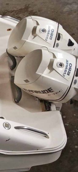 
										PAREJA MOTORES EVINRUDE ETEC 250HP full									