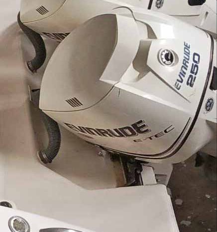 
								PAREJA MOTORES EVINRUDE ETEC 250HP full									