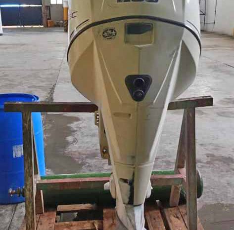 
								PAREJA MOTORES EVINRUDE ETEC 250HP full									