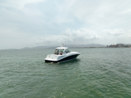 
										SEA RAY SUNDANCER 40 full									