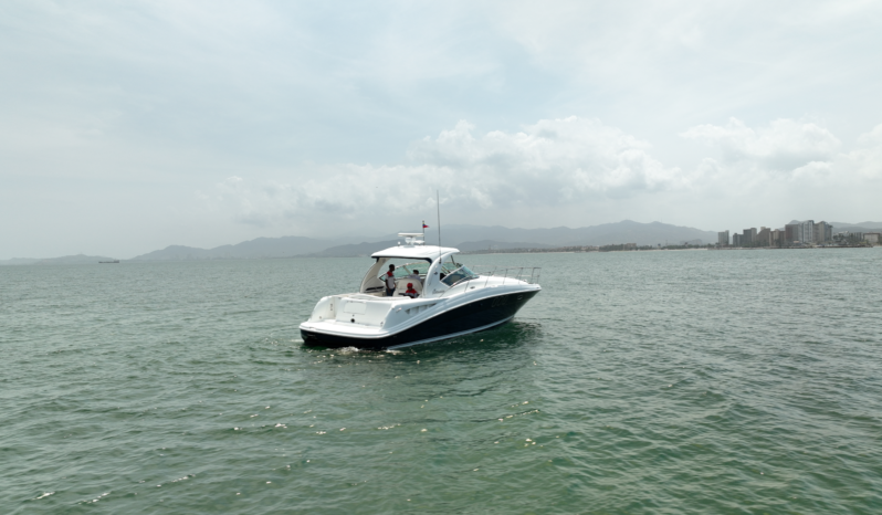 
								SEA RAY SUNDANCER 40 full									