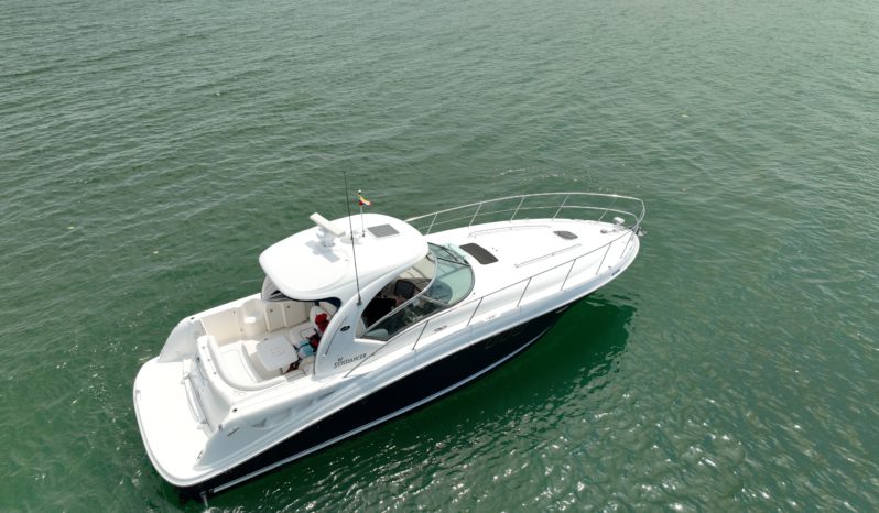 
								SEA RAY SUNDANCER 40 full									