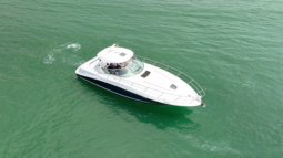 
										SEA RAY SUNDANCER 40 full									
