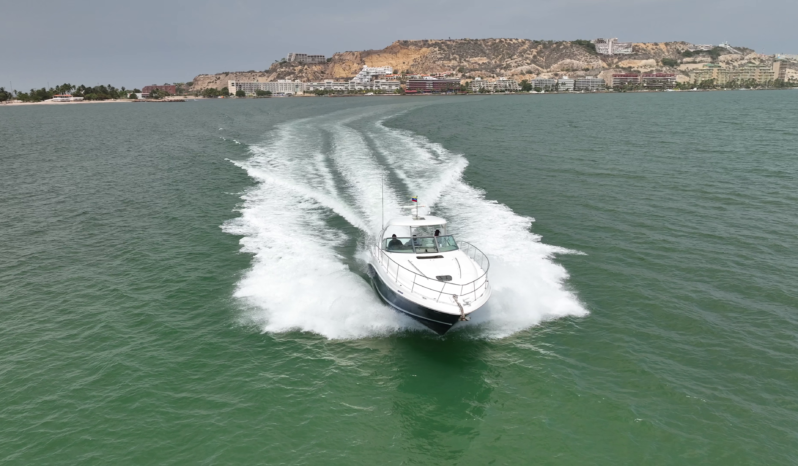 
								SEA RAY SUNDANCER 40 full									