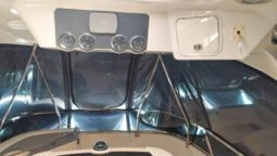 
										SEA RAY SEDAN BRIDGE 52 full									