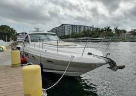 SEA RAY SUNDANCER 50