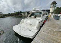 
										SEA RAY SUNDANCER 50 full									