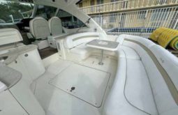 SEA RAY SUNDANCER 50