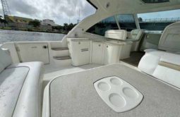 
										SEA RAY SUNDANCER 50 full									