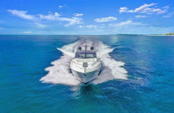 
										SUNSEEKER PREDATOR 68 full									