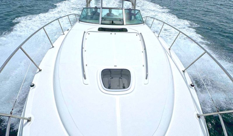 
								SEA RAY SUNDANCER 40 full									