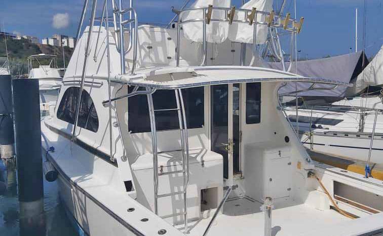 
								BERTRAM CONVERTIBLE 38 full									