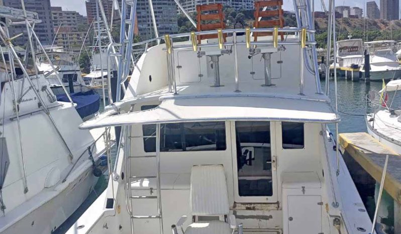 
								BERTRAM CONVERTIBLE 38 full									