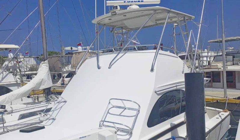 
								BERTRAM CONVERTIBLE 38 full									