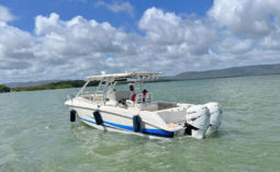 
										BOSTON WHALER 32 full									