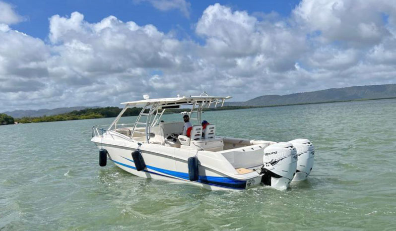 
								BOSTON WHALER 32 full									