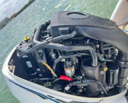 
										BOSTON WHALER 32 full									