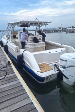 
										BOSTON WHALER 32 full									