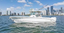 
										BOSTON WHALER OUTRAGE 330 33 full									