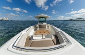 BOSTON WHALER OUTRAGE 330 33