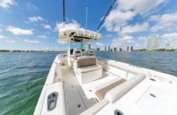 
										BOSTON WHALER OUTRAGE 330 33 full									