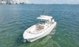 BOSTON WHALER OUTRAGE 330 33