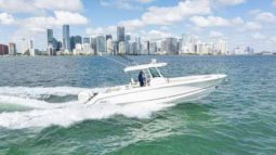 
										BOSTON WHALER OUTRAGE 330 33 full									