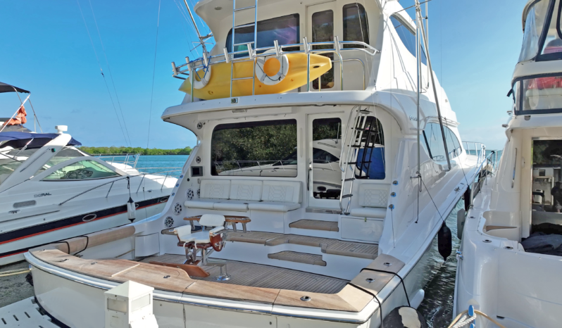 
								HATTERAS ENCLOSED BRIDGE 68 full									