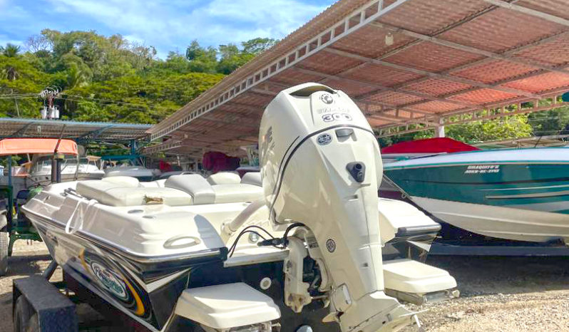 
								PROMARINE SUPER SPORT SERIES 21 full									