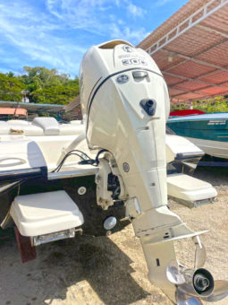 
										PROMARINE SUPER SPORT SERIES 21 full									