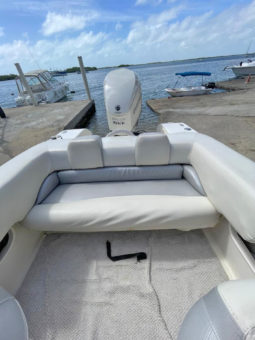 
										PROMARINE SUPER SPORT SERIES 21 full									