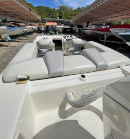 
										PROMARINE SUPER SPORT SERIES 21 full									