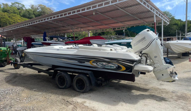 
								PROMARINE SUPER SPORT SERIES 21 full									