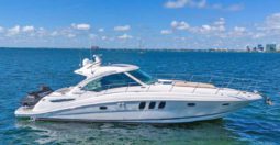 SEA RAY SUNDANCER 50