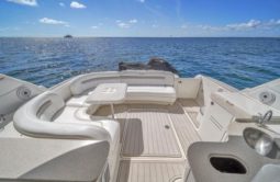 
										SEA RAY SUNDANCER 50 full									