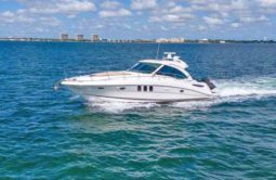 
										SEA RAY SUNDANCER 50 full									