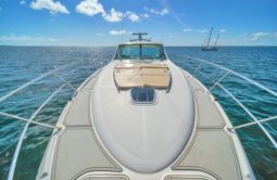 SEA RAY SUNDANCER 50