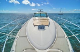 SEA RAY SUNDANCER 50