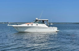 WELLCRAFT COASTAL 33